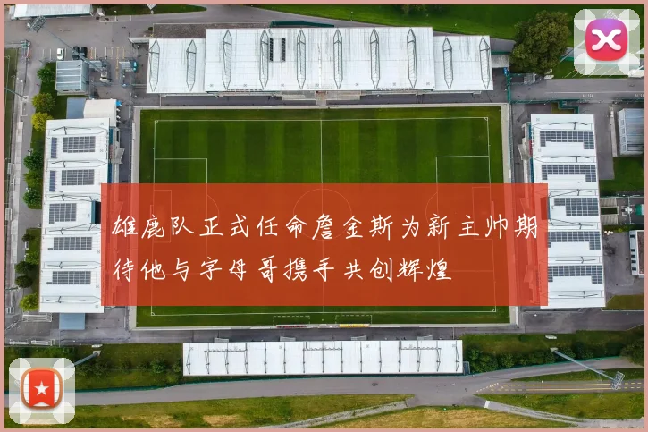 雄鹿队正式任命詹金斯为新主帅期待他与字母哥携手共创辉煌